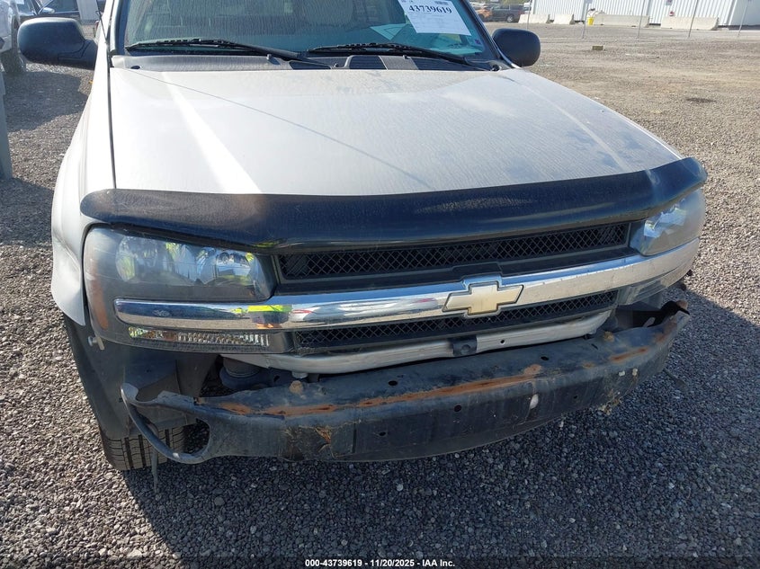 2008 Chevrolet Trailblazer Fleet VIN: 1GNDS13S682153889 Lot: 43739619