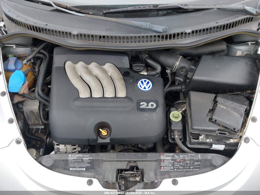 2002 Volkswagen New Beetle Gls VIN: 3VWCK21C82M438824 Lot: 43739652