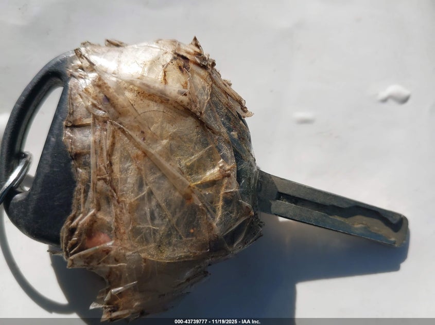 2001 Lexus Rx 300 VIN: JTJHF10U010175860 Lot: 43739777