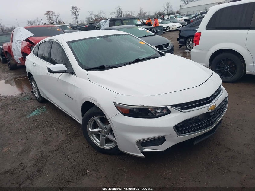 CHEVROLET MALIBU 1FL
