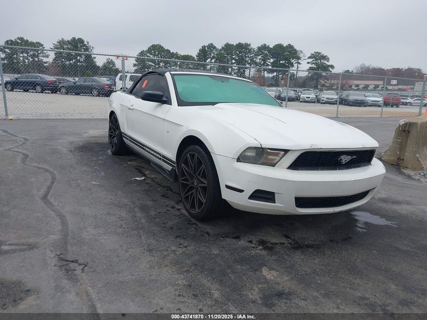 FORD MUSTANG V6
