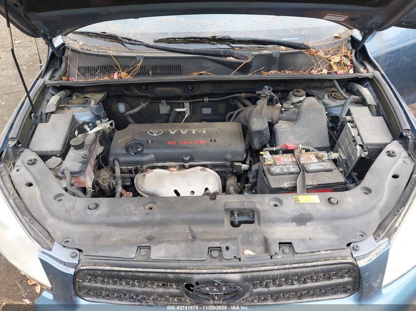 2007 Toyota Rav4 VIN: JTMBD33V475067283 Lot: 43741875