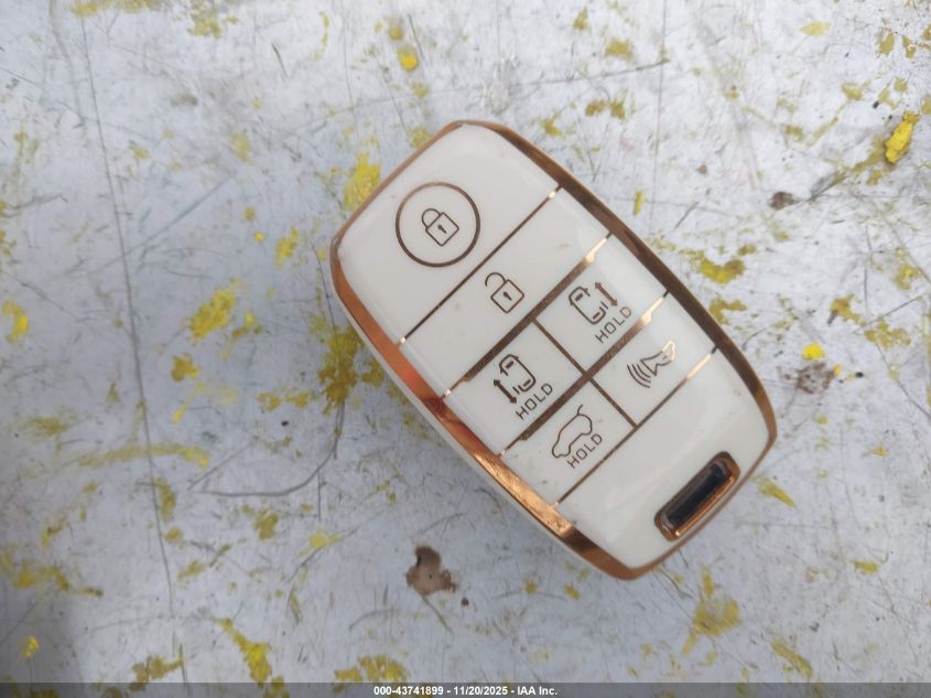 2017 Kia Sedona Lx VIN: KNDMB5C15H6260321 Lot: 43741899