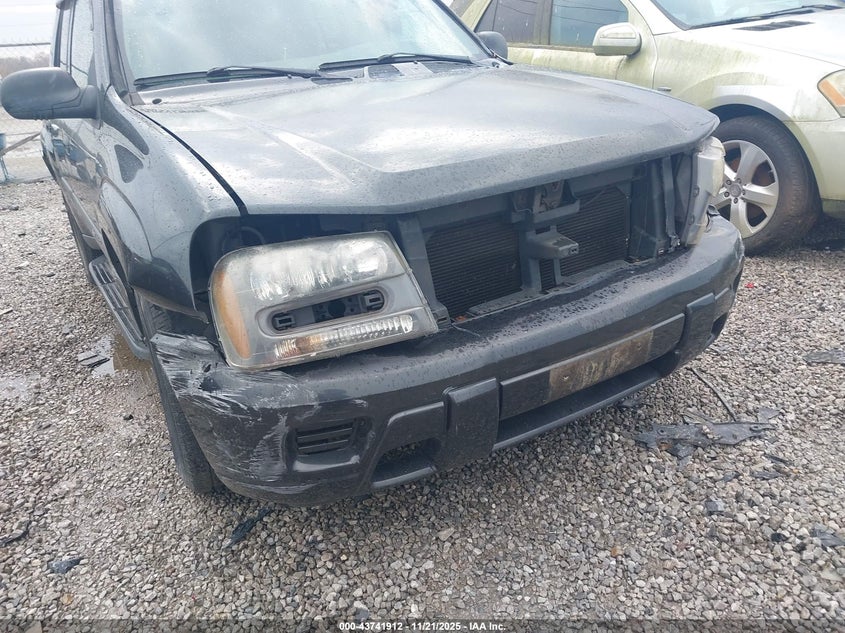 2003 Chevrolet Trailblazer Ls VIN: 1GNDS13S332156323 Lot: 43741912