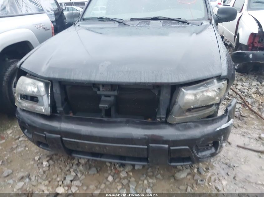 2003 Chevrolet Trailblazer Ls VIN: 1GNDS13S332156323 Lot: 43741912