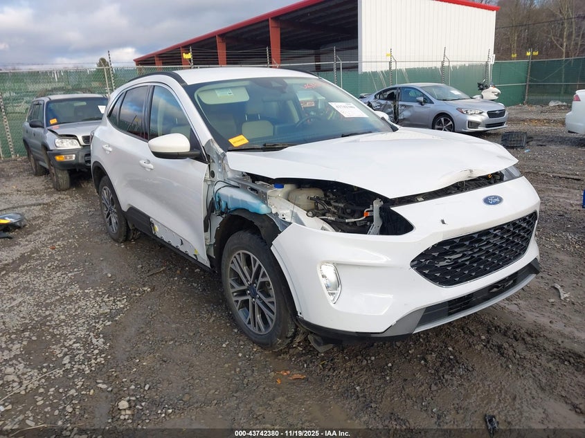 FORD ESCAPE SEL