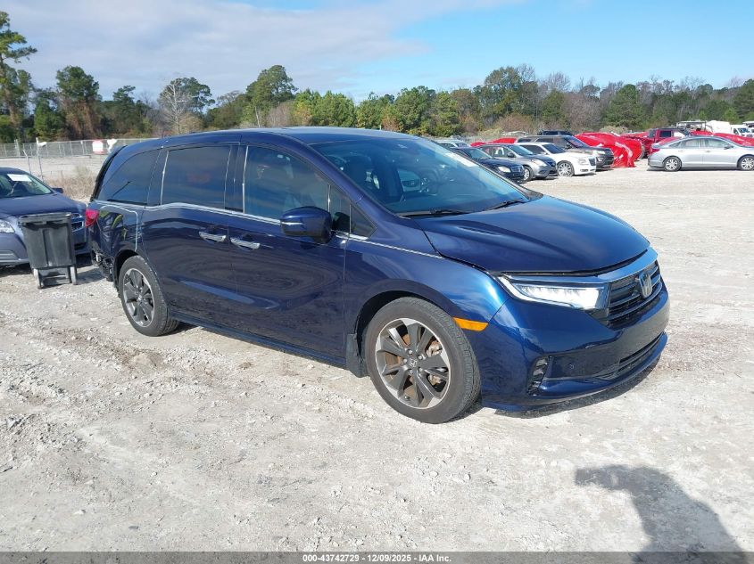 HONDA ODYSSEY ELITE