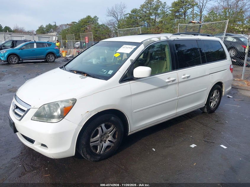 5FNRL38425B109589 2005 HONDA ODYSSEY photo no. 2