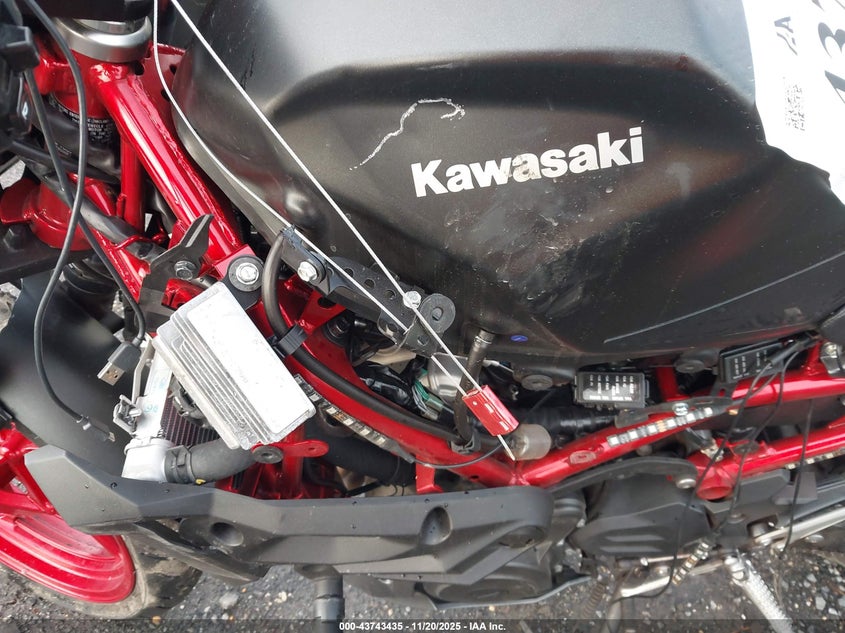 2025 Kawasaki Er500 VIN: ML5ERGF10SDA71034 Lot: 43743435