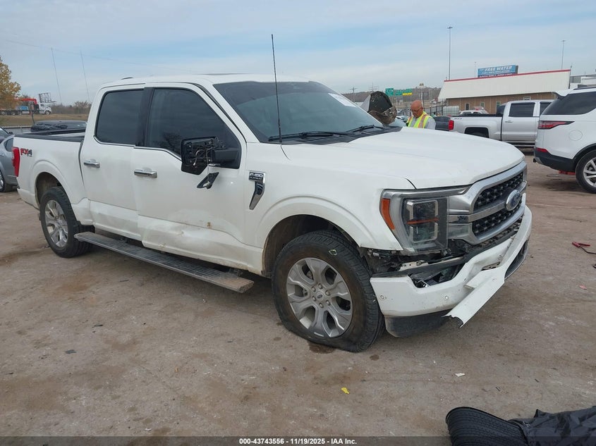 FORD F-150 PLATINUM