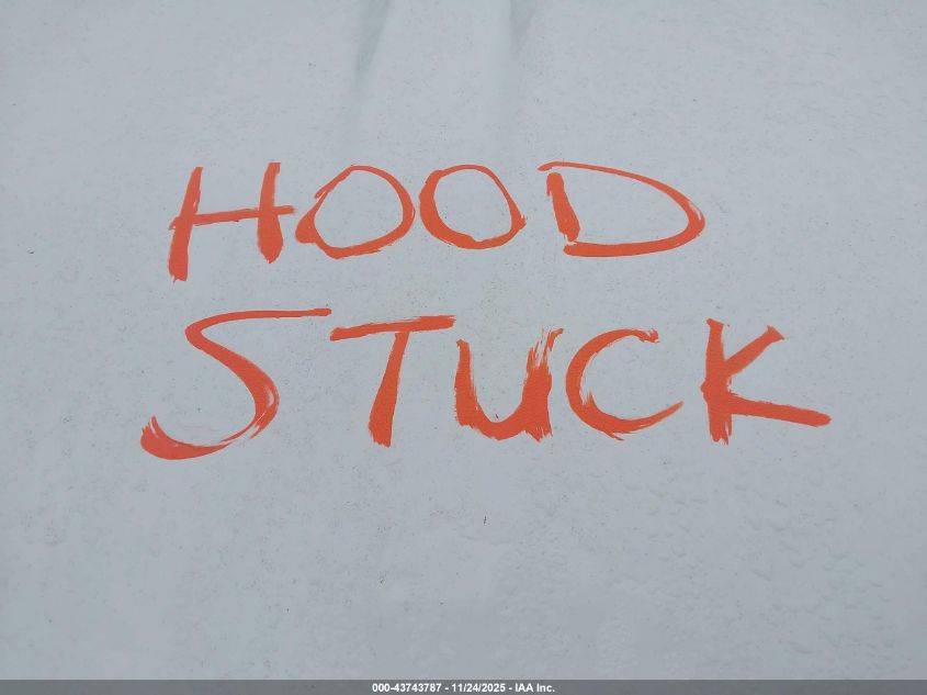 2017 Chevrolet Silverado 1500 2Lt VIN: 3GCUKREC3HG427862 Lot: 43743787