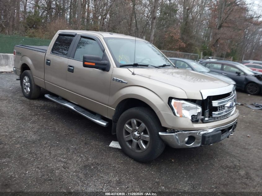 FORD F-150 XLT