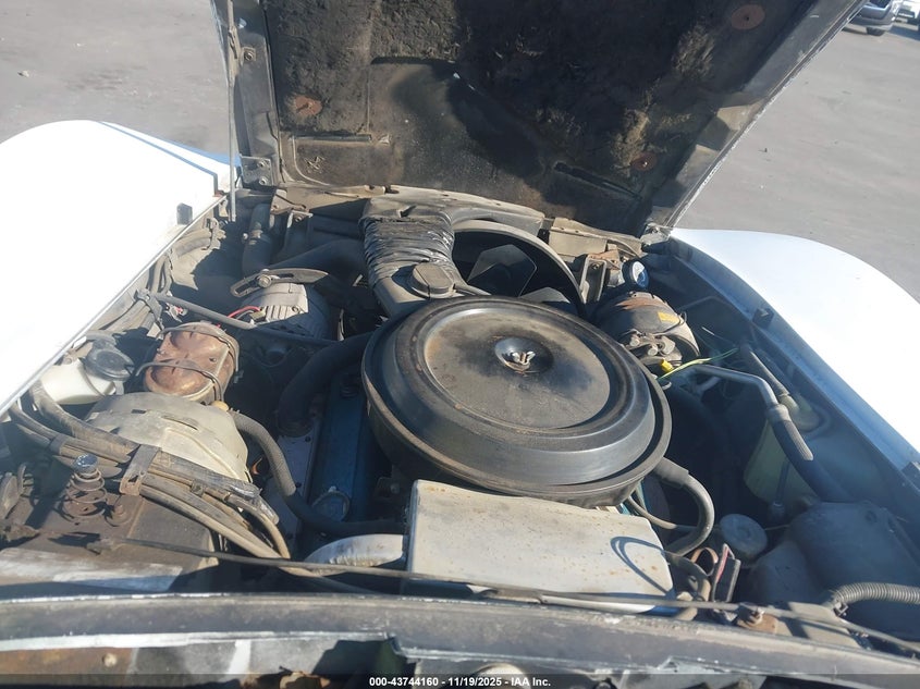 1977 Chevrolet Corvette VIN: 00001Z37L7S444689 Lot: 43744160