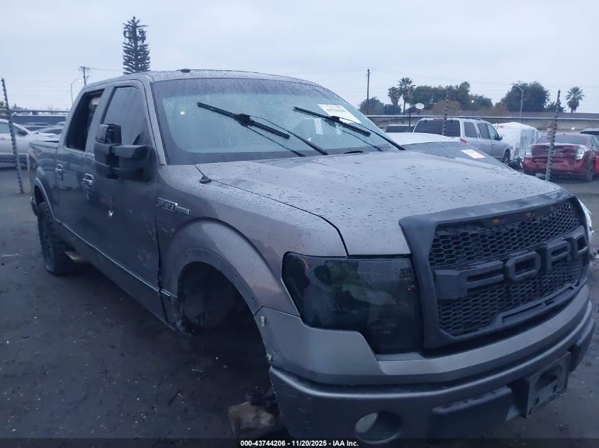 2009 Ford F-150 King Ranch/Lariat/Platinum/Xl/Xlt VIN: 1FTPW12V99FA73972 Lot: 43744206