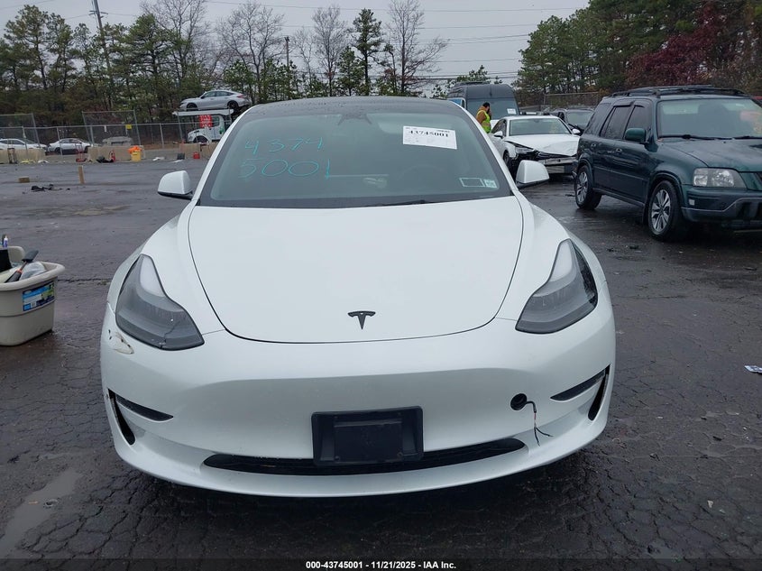 2023 Tesla Model 3 Rear-Wheel Drive VIN: 5YJ3E1EA2PF555646 Lot: 43745001