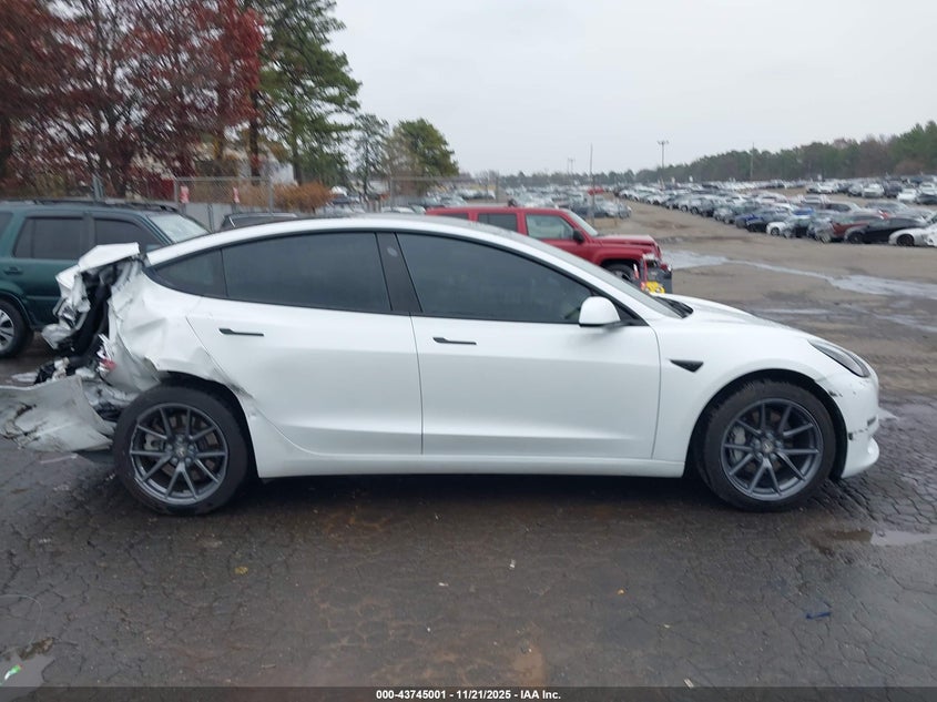 2023 Tesla Model 3 Rear-Wheel Drive VIN: 5YJ3E1EA2PF555646 Lot: 43745001