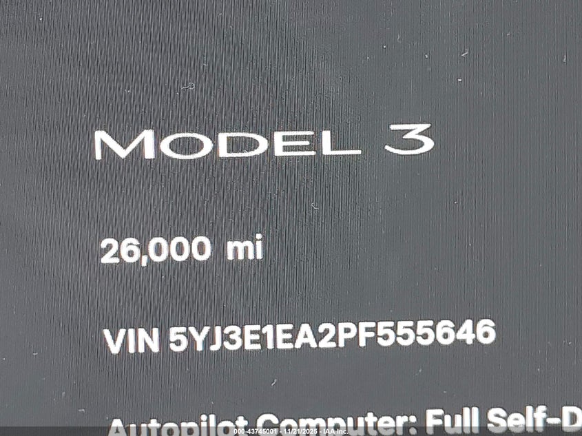 2023 Tesla Model 3 Rear-Wheel Drive VIN: 5YJ3E1EA2PF555646 Lot: 43745001