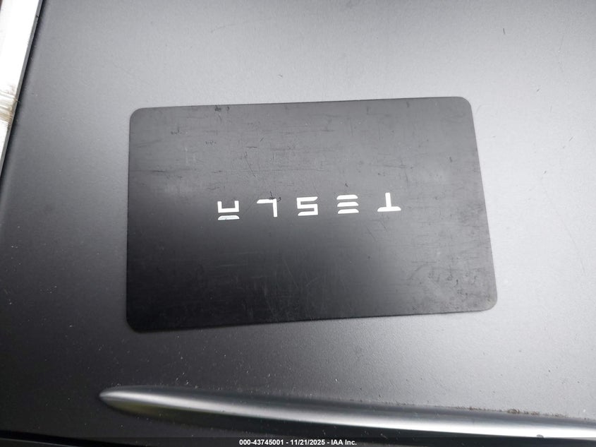 2023 Tesla Model 3 Rear-Wheel Drive VIN: 5YJ3E1EA2PF555646 Lot: 43745001