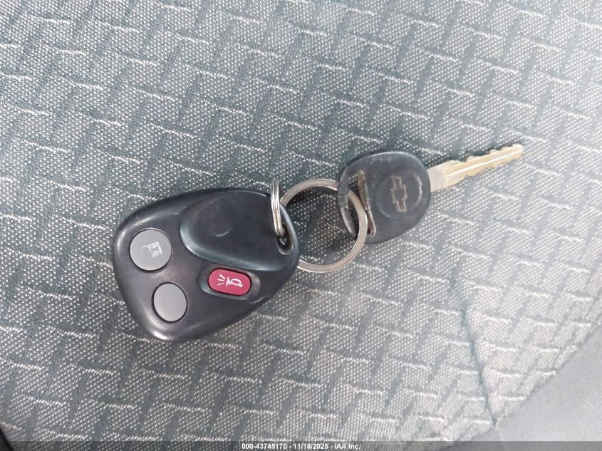 2004 Chevrolet Avalanche 1500 VIN: 3GNEC12T14G241195 Lot: 43745170