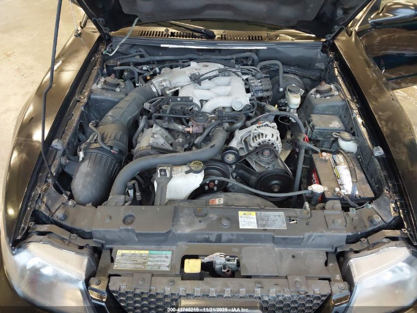 2004 Ford Mustang VIN: 1FAFP406X4F239372 Lot: 43745219