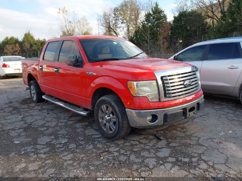 FORD F-150 XLT