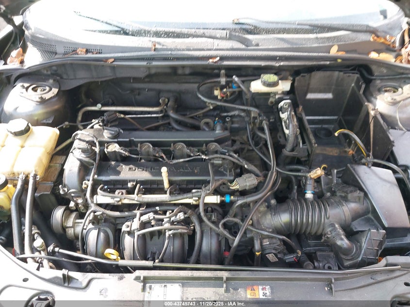 2004 Mazda Mazda3 S VIN: JM1BK323441166193 Lot: 43745743