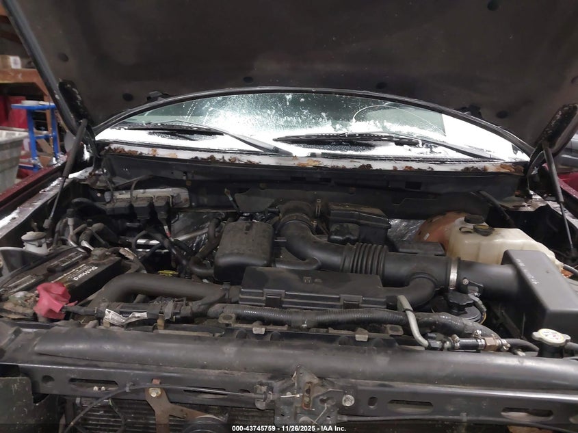 2009 Ford F-150 Fx4/King Ranch/Lariat/Platinum/Xl/Xlt VIN: 1FTPW14V99FA97881 Lot: 43745759