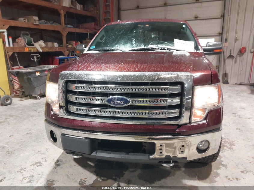 2009 Ford F-150 Fx4/King Ranch/Lariat/Platinum/Xl/Xlt VIN: 1FTPW14V99FA97881 Lot: 43745759