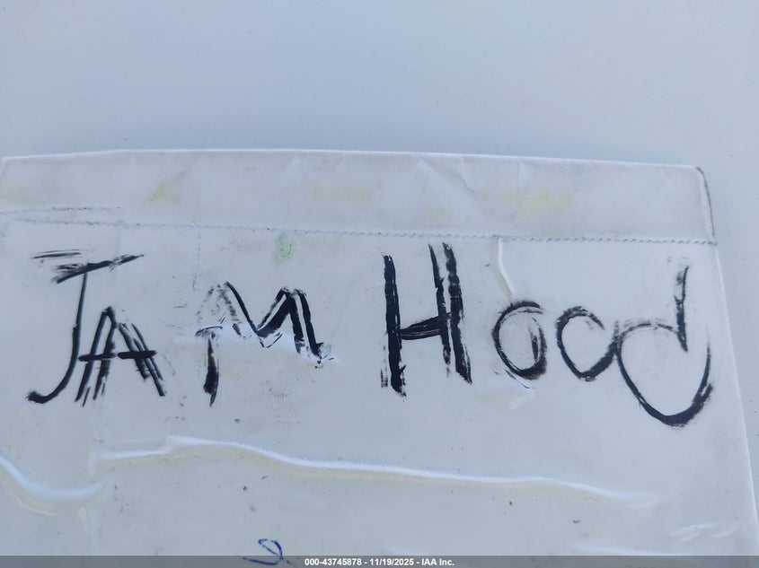 2010 Infiniti Ex35 Journey VIN: JN1AJ0HP8AM700056 Lot: 43745878