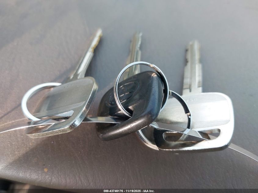 2005 Toyota Tundra Sr5 V8 VIN: 5TBET34195S487066 Lot: 43746176