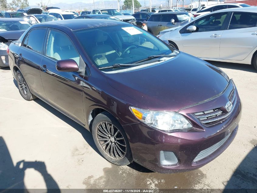 TOYOTA COROLLA LE SPECIAL EDITION