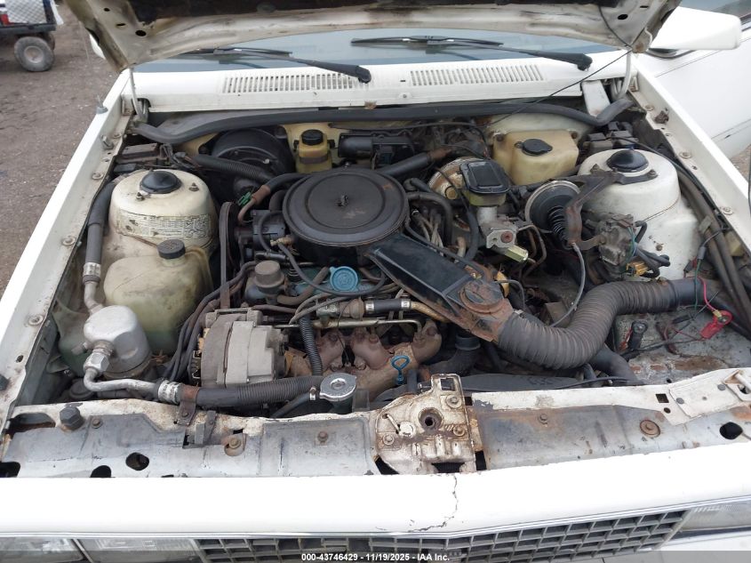 1982 Cadillac Cimarron VIN: 1G6AG69G3CC406394 Lot: 43746429