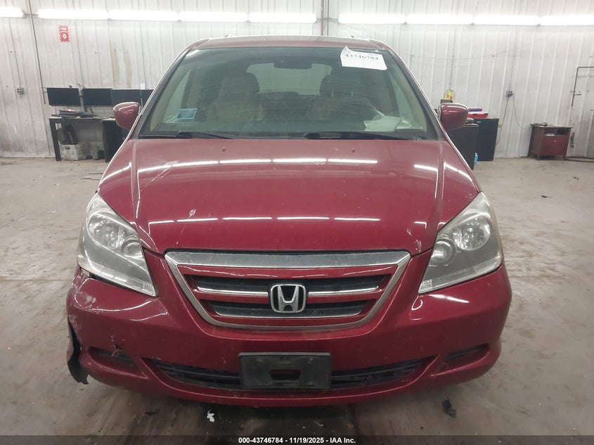 2006 Honda Odyssey Ex-L VIN: 5FNRL38646B068076 Lot: 43746784