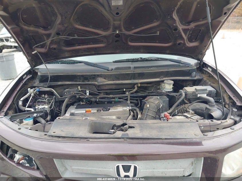 2007 Honda Element Sc VIN: 5J6YH18977L008586 Lot: 43746926