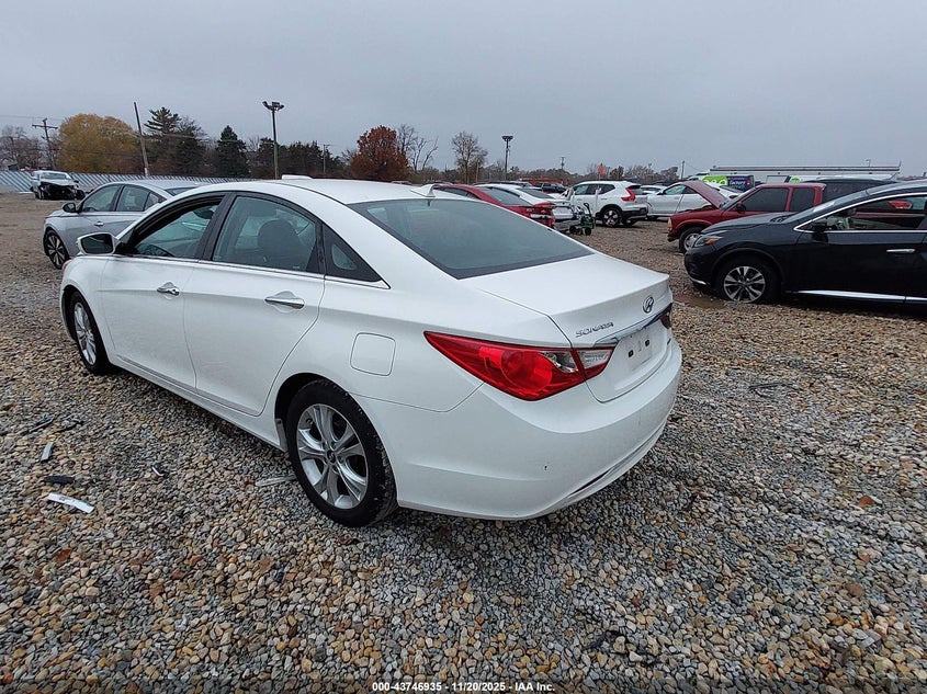 5NPEC4AC7DH783064 2013 HYUNDAI SONATA photo no. 3