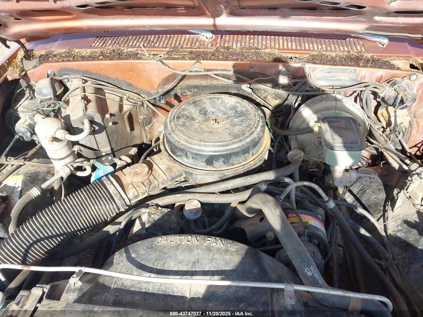 1982 Chevrolet Suburban K10 VIN: 1G8EK16L4CF132312 Lot: 43747027