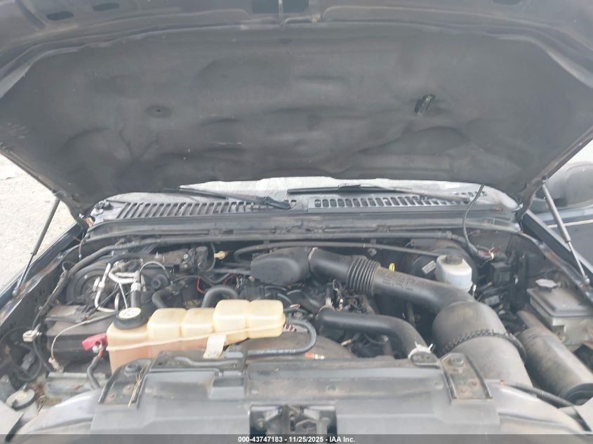 2003 Ford Excursion Eddie Bauer VIN: 1FMNU44L23EC07613 Lot: 43747183