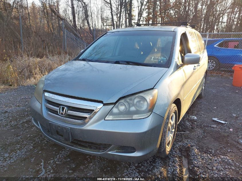 2005 Honda Odyssey Ex-L VIN: 5FNRL38685B063011 Lot: 43747218