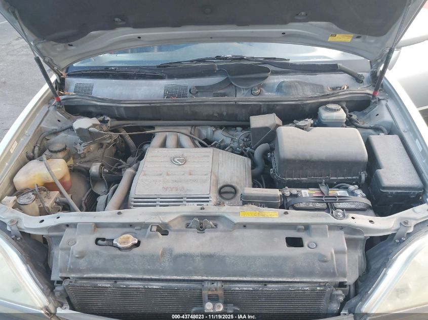 2002 Lexus Rx 300 VIN: JTJGF10U420124892 Lot: 43748023