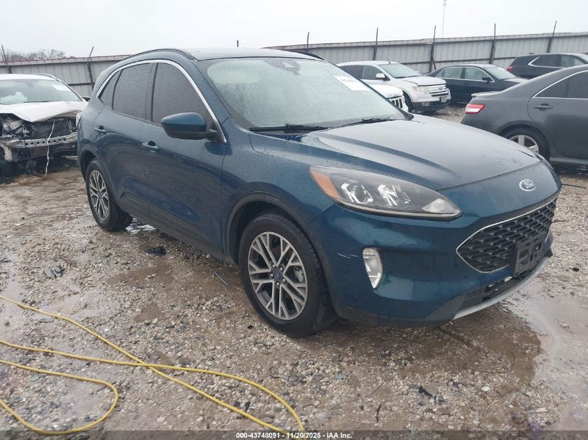 FORD ESCAPE SEL