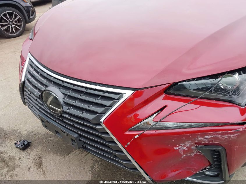 2020 Lexus Nx 300 VIN: JTJDARBZ4L5005110 Lot: 43748284