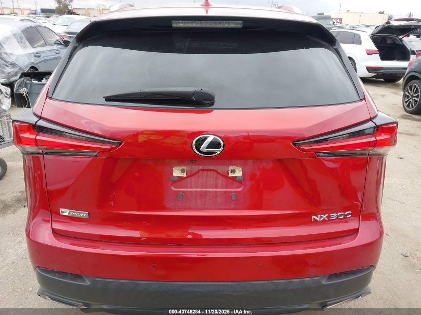 2020 Lexus Nx 300 VIN: JTJDARBZ4L5005110 Lot: 43748284