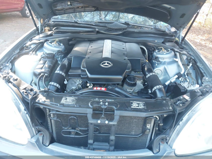 2004 Mercedes-Benz S 500 VIN: WDBNG75J94A429065 Lot: 43748486