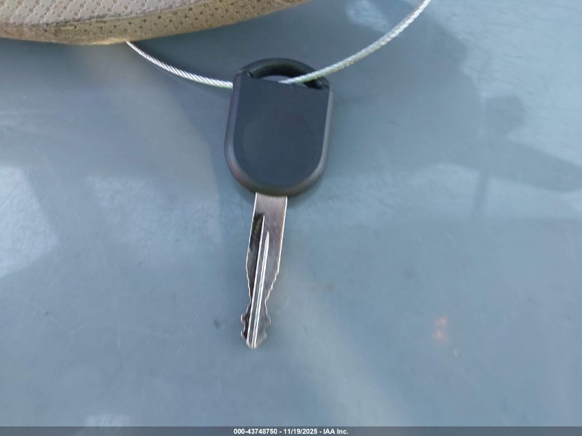 2003 Ford Expedition Eddie Bauer VIN: 1FMRU17W03LB96807 Lot: 43748750