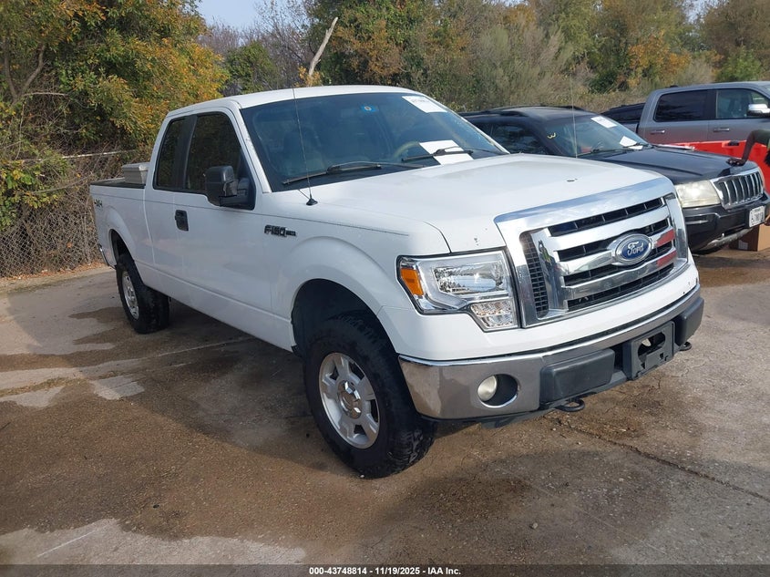 FORD F-150 XLT