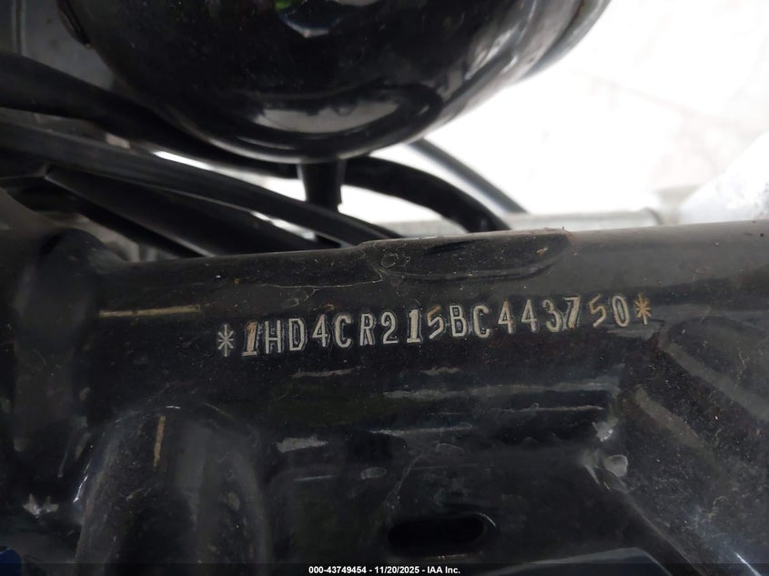 2011 Harley-Davidson Xl883 L VIN: 1HD4CR215BC443750 Lot: 43749454