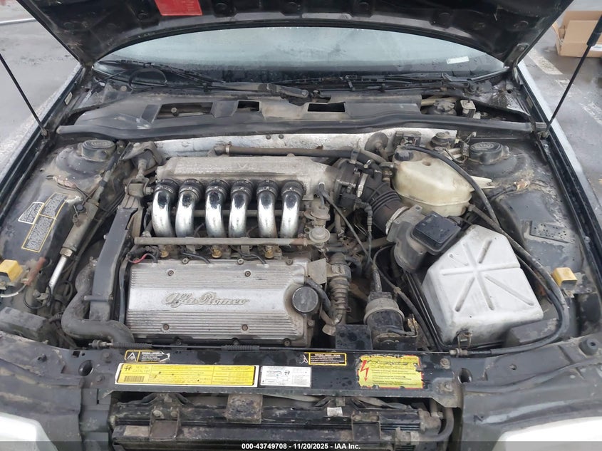 1994 Alfa Romeo 164 Quadrifoglio VIN: ZARED33R0R6288768 Lot: 43749708