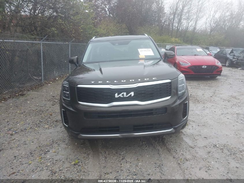 2022 Kia Telluride Ex VIN: 5XYP3DHCXNG230576 Lot: 43750336