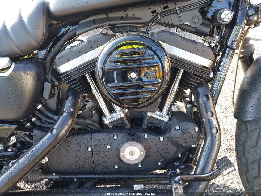 2019 Harley-Davidson Xl883 N VIN: 1HD4LE210KC431417 Lot: 43750340