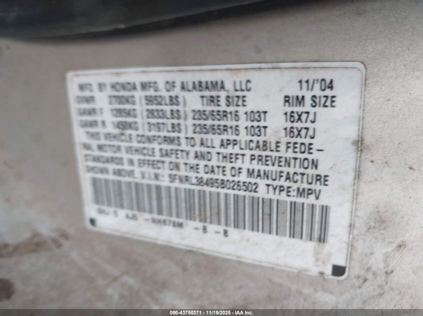 2005 Honda Odyssey Ex VIN: 5FNRL38495B026502 Lot: 43750371